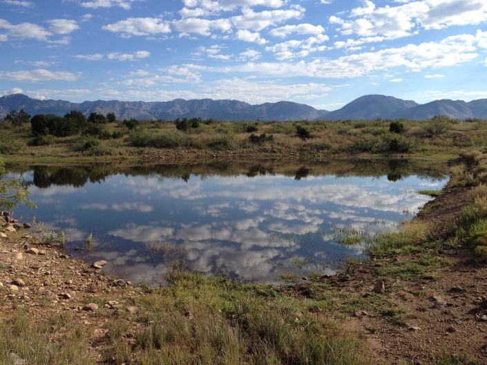 My tank, full of water, with the Mogollon Mountains in the background! I love this pasture as it's part of the ranch that my great, great grandfather owned in the past.